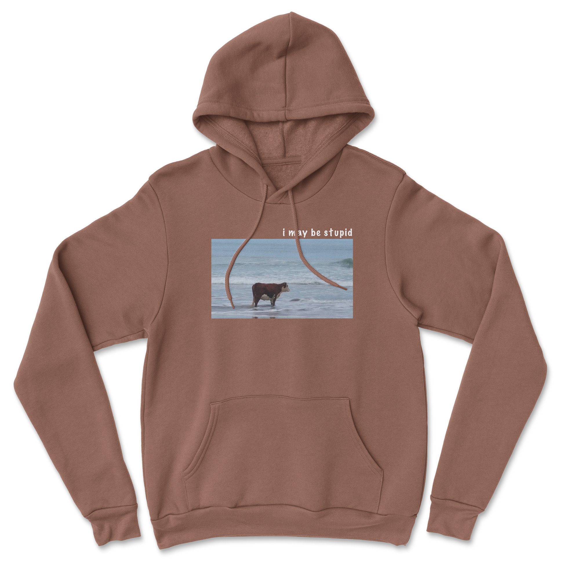 Heavy Blend Hoodie Stupid in Cocoa