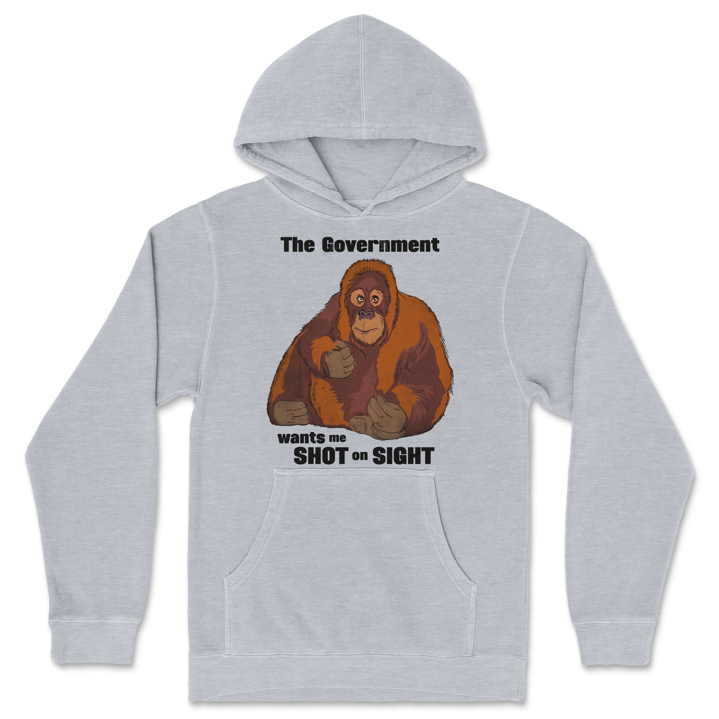 Independent Clothing Co. Hoodie The Government Hates Me in Grey-Heather