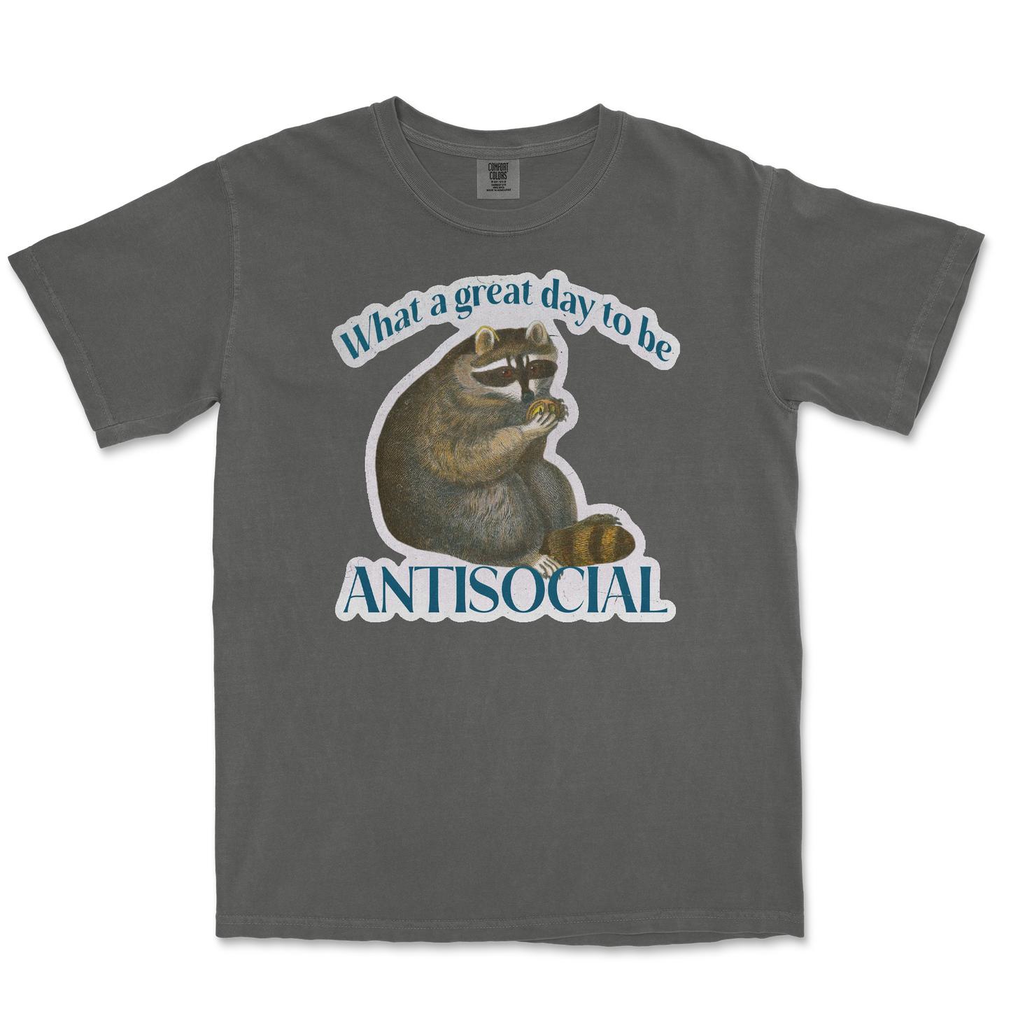 Comfort Colors T-Shirt Antisocial in Pepper