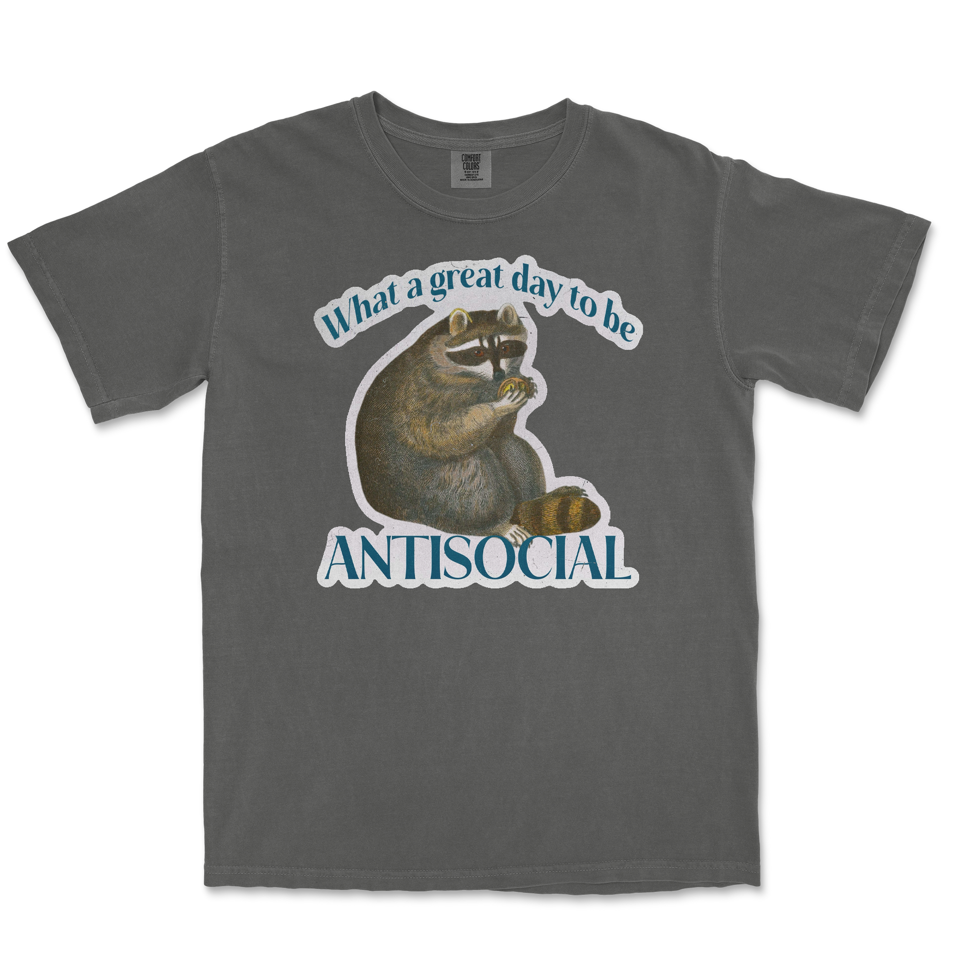 Comfort Colors T-Shirt Antisocial in Pepper