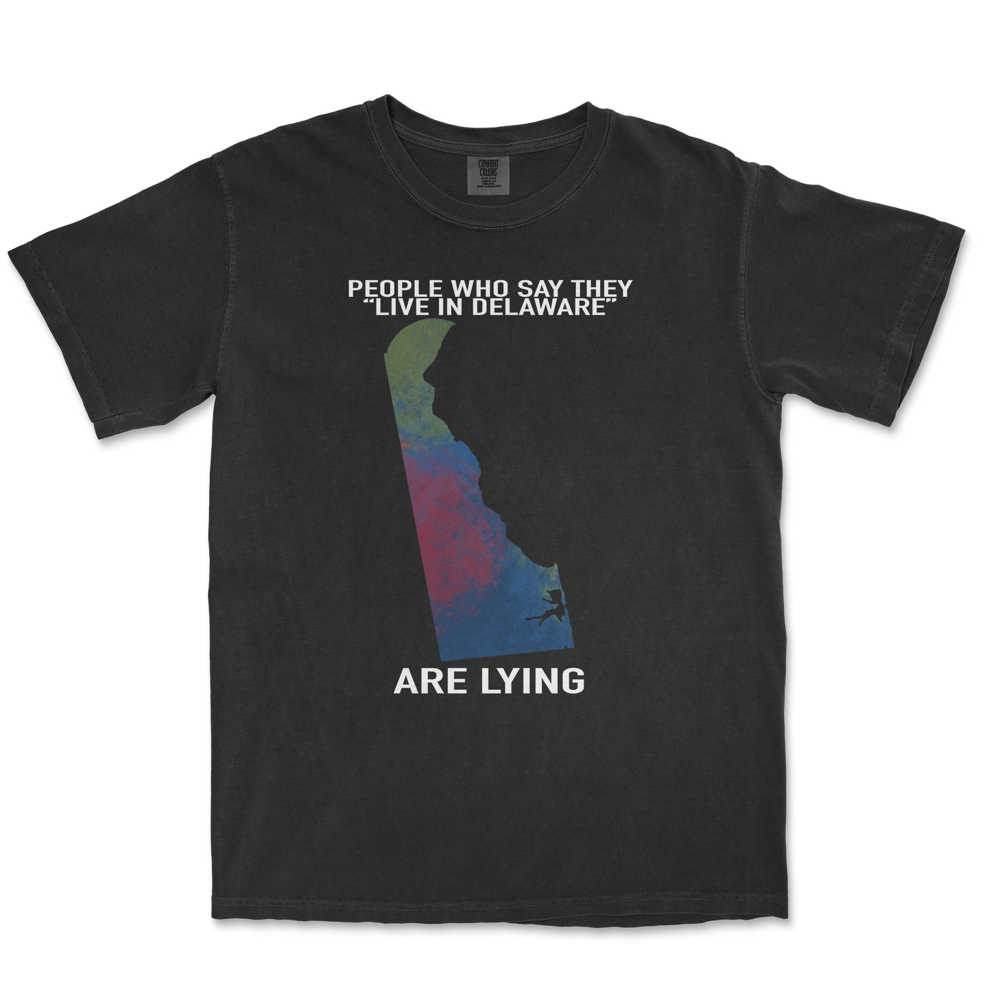 Comfort Colors T-Shirt Delaware Doesnt Exist in Black