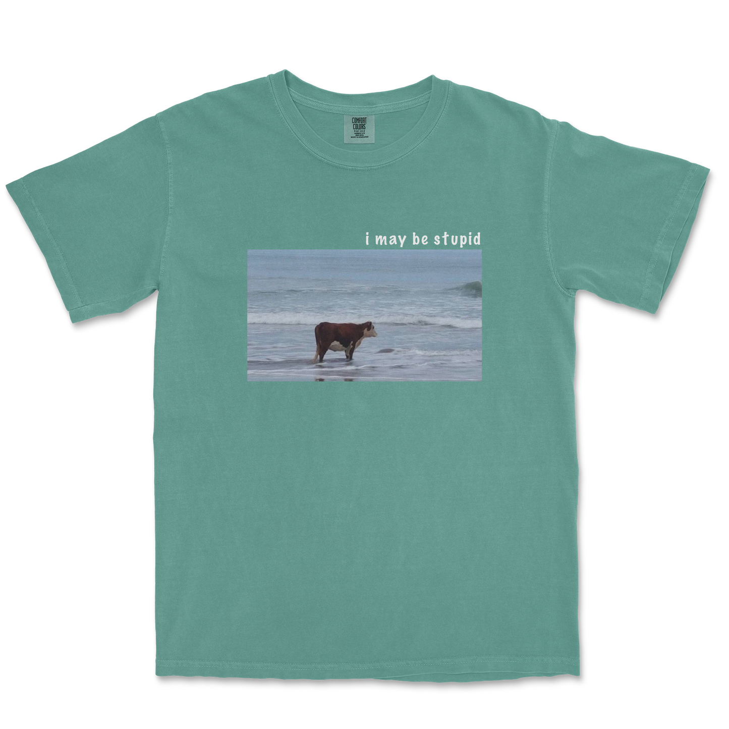 Comfort Colors T-Shirt Stupid in Light Green