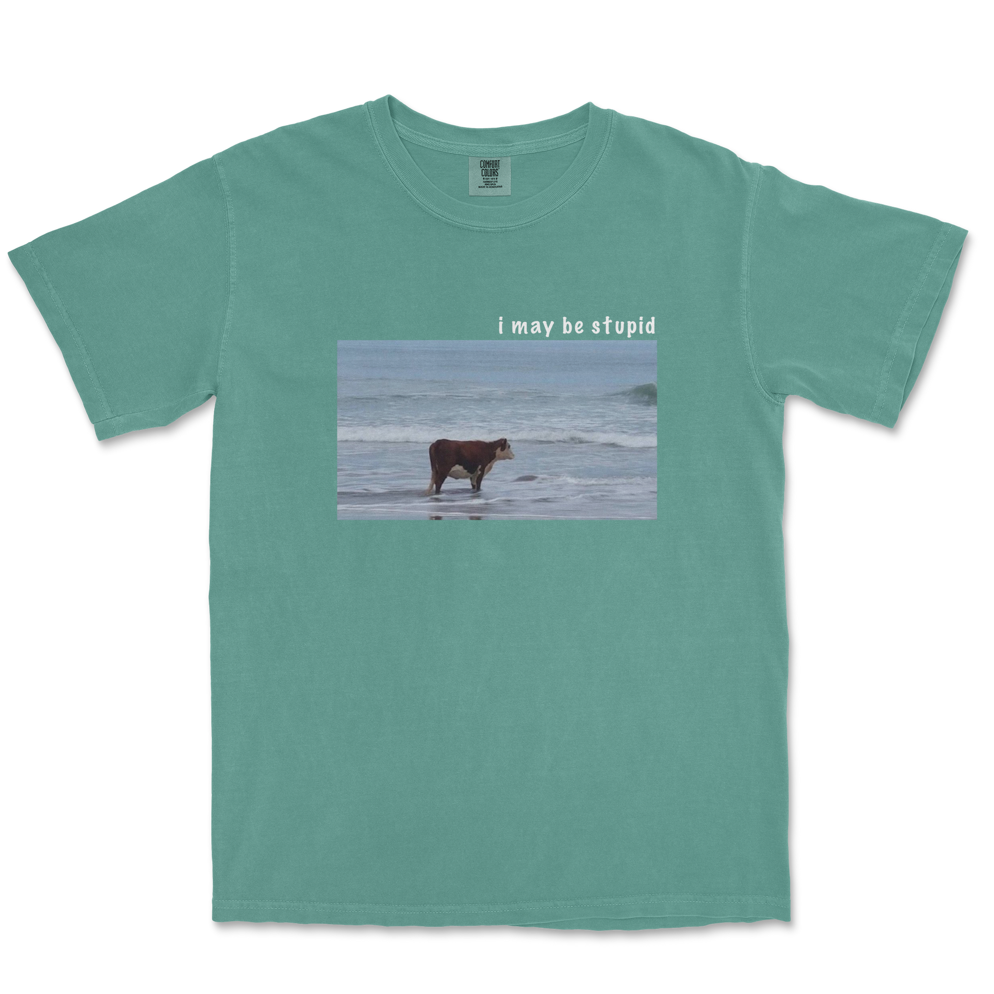Comfort Colors T-Shirt Stupid in Light Green