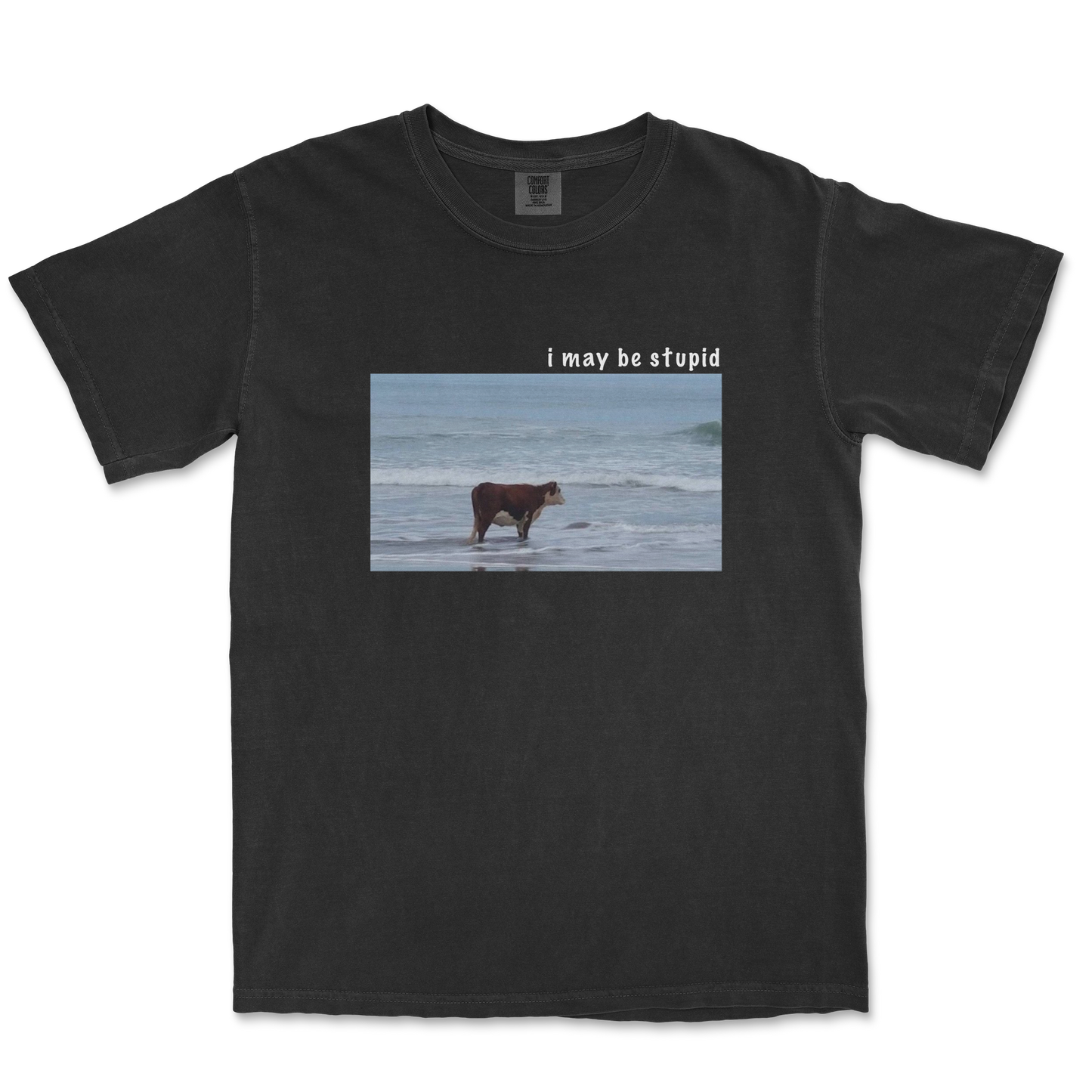 Comfort Colors T-Shirt Stupid in Black