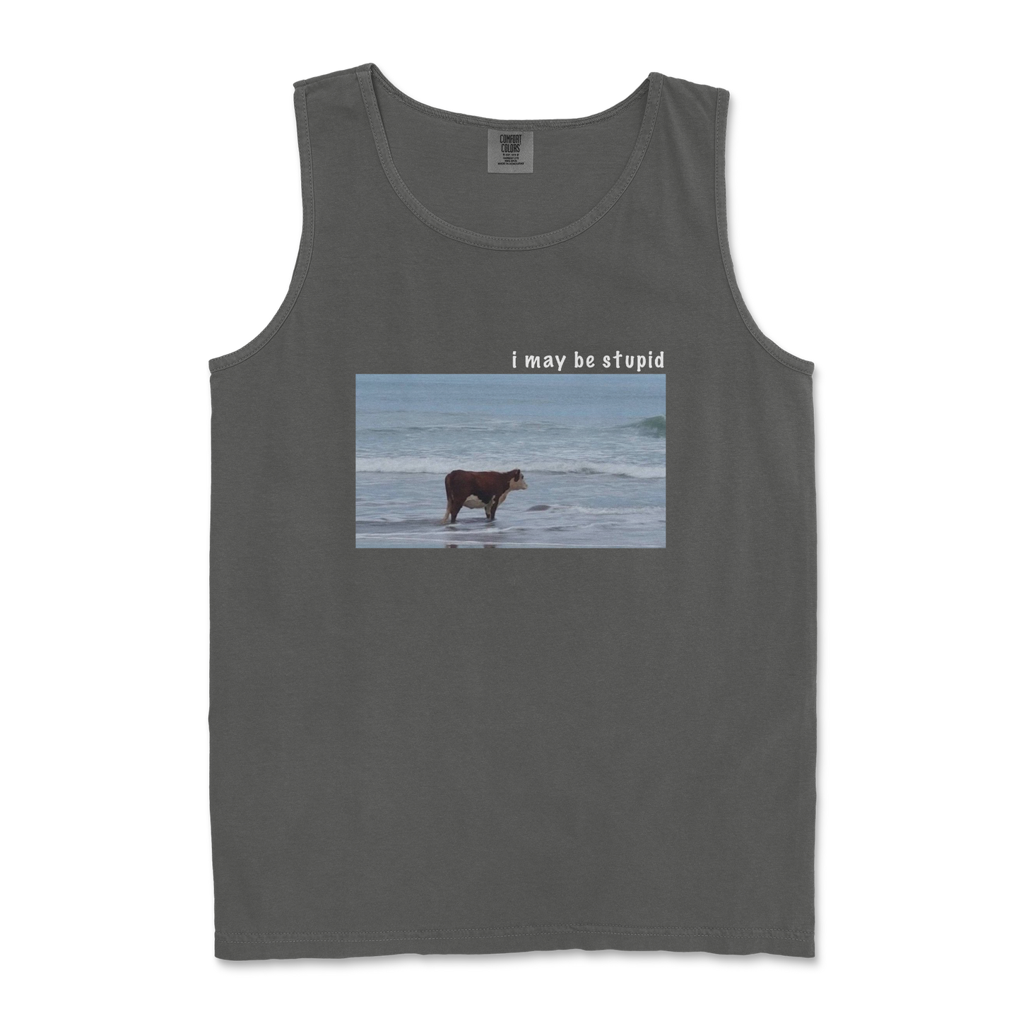 Comfort Colors Tank Top Stupid in Pepper