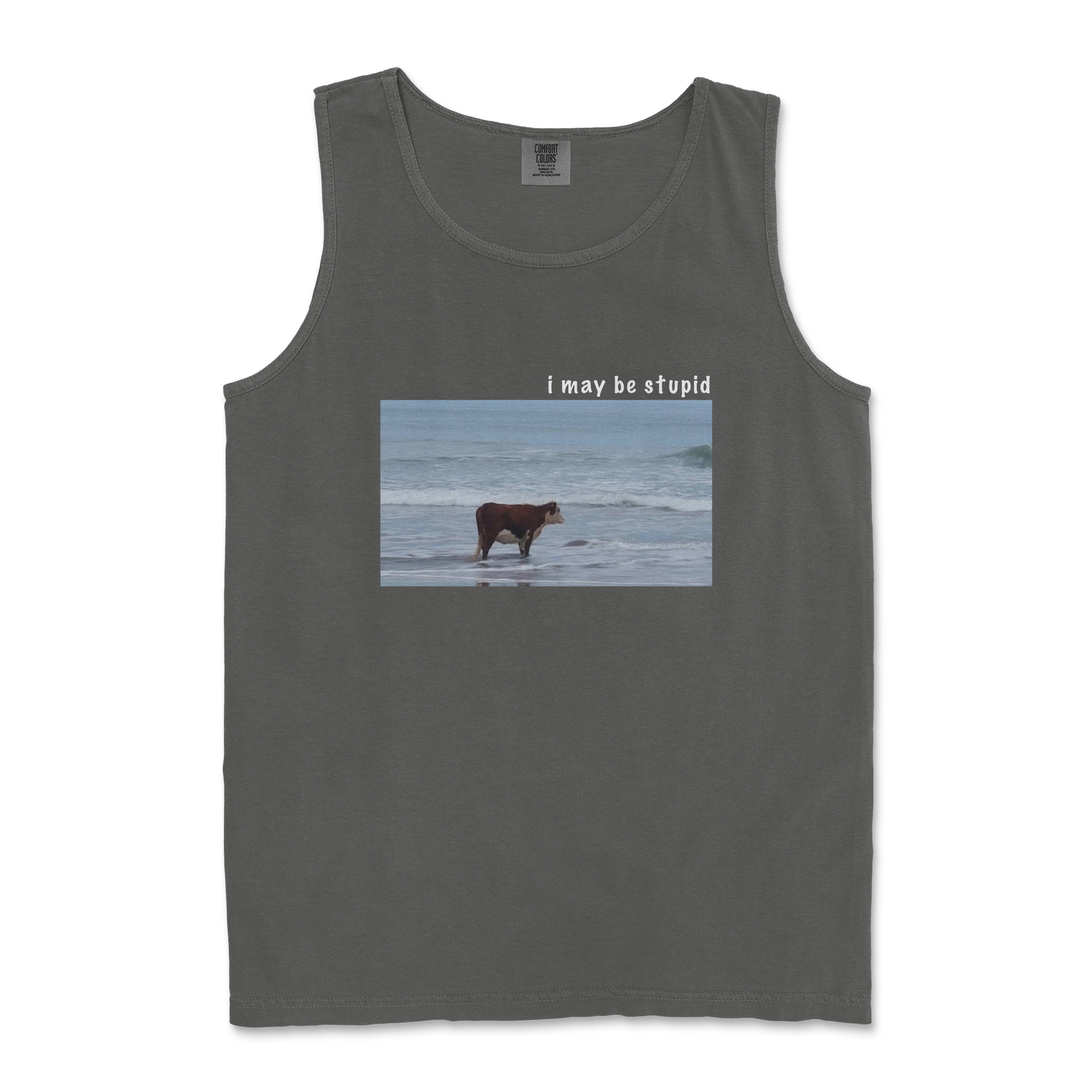 Comfort Colors Tank Top Stupid in Pepper
