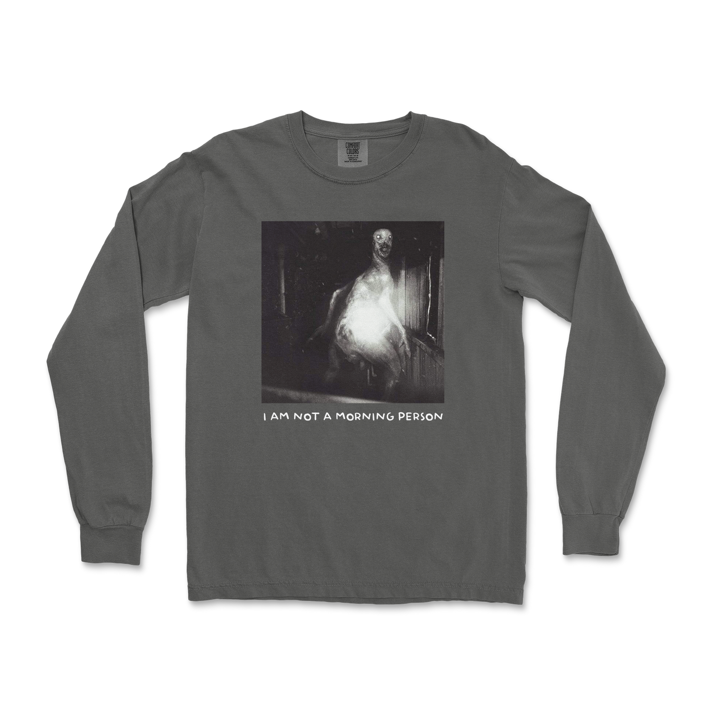 Comfort Colors Long Sleeve Not A Morning Person in Pepper