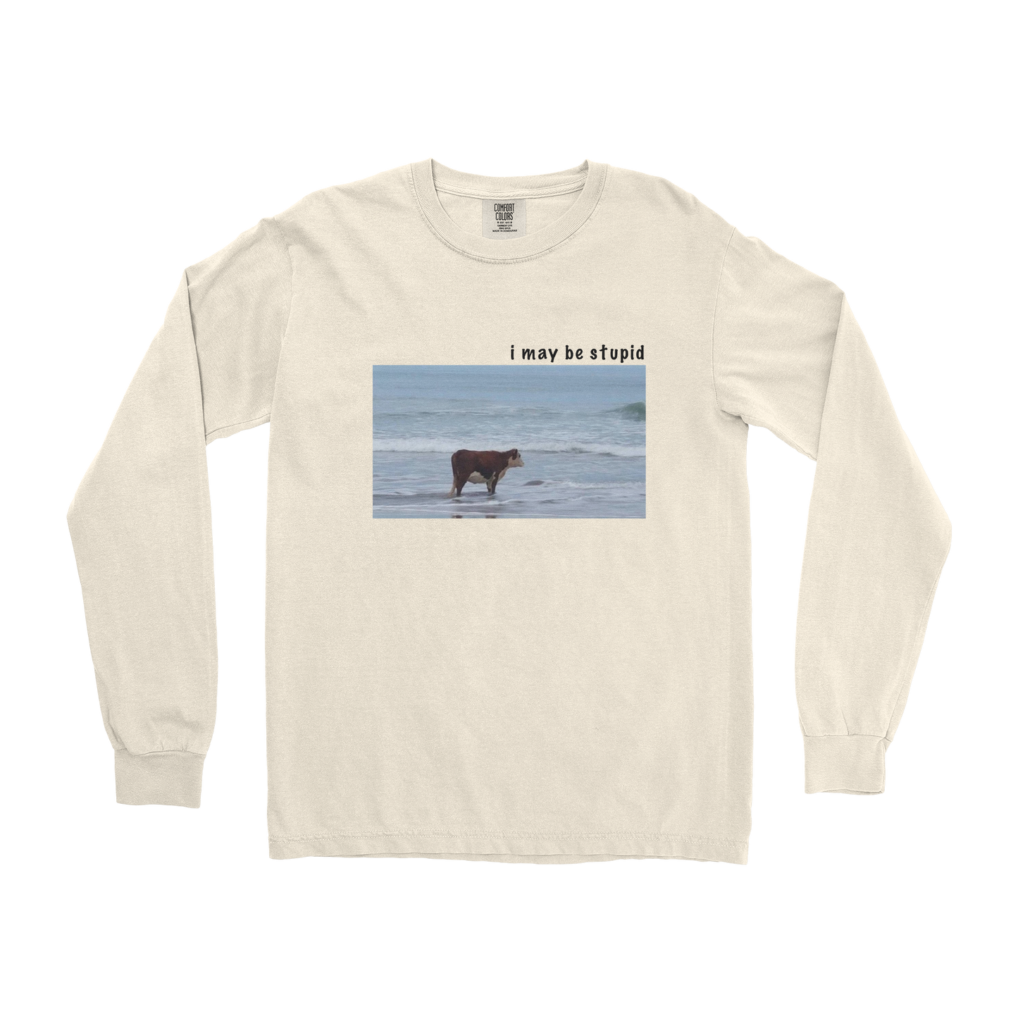 Comfort Colors Long Sleeve Stupid in Ivory