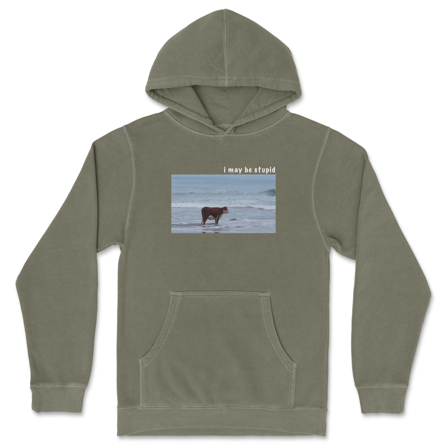 Independent Clothing Co. Hoodie Stupid in Olive