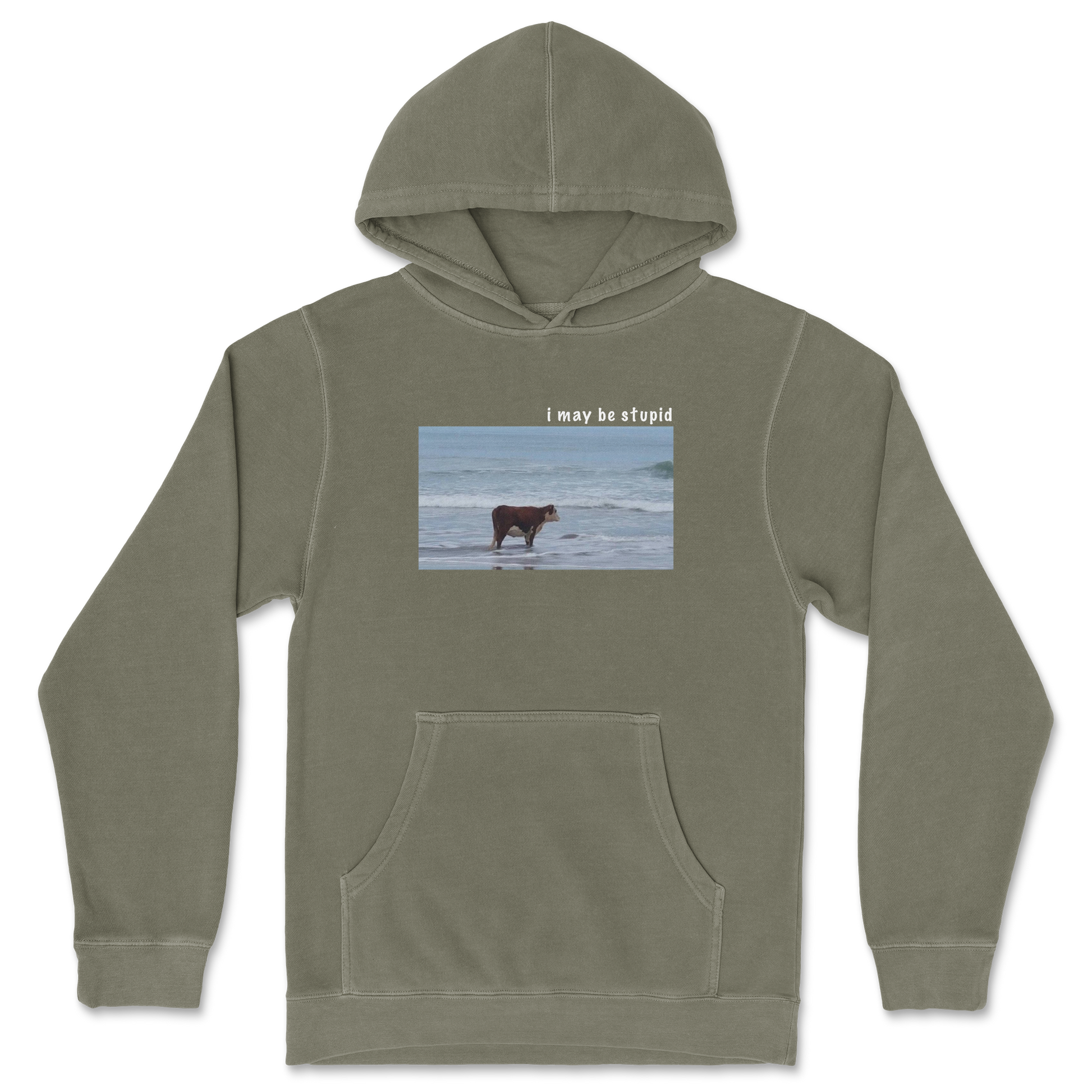 Independent Clothing Co. Hoodie Stupid in Olive