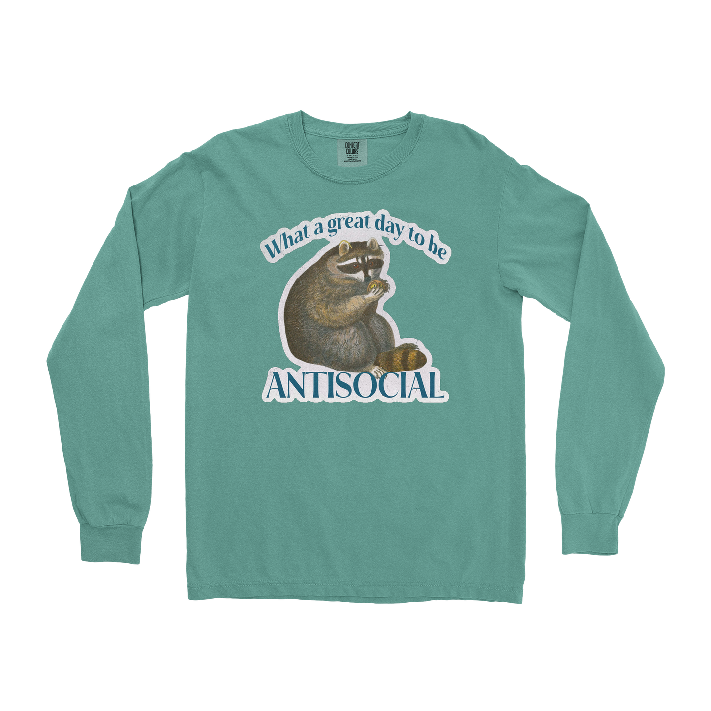 Comfort Colors Long Sleeve Antisocial in Light Green