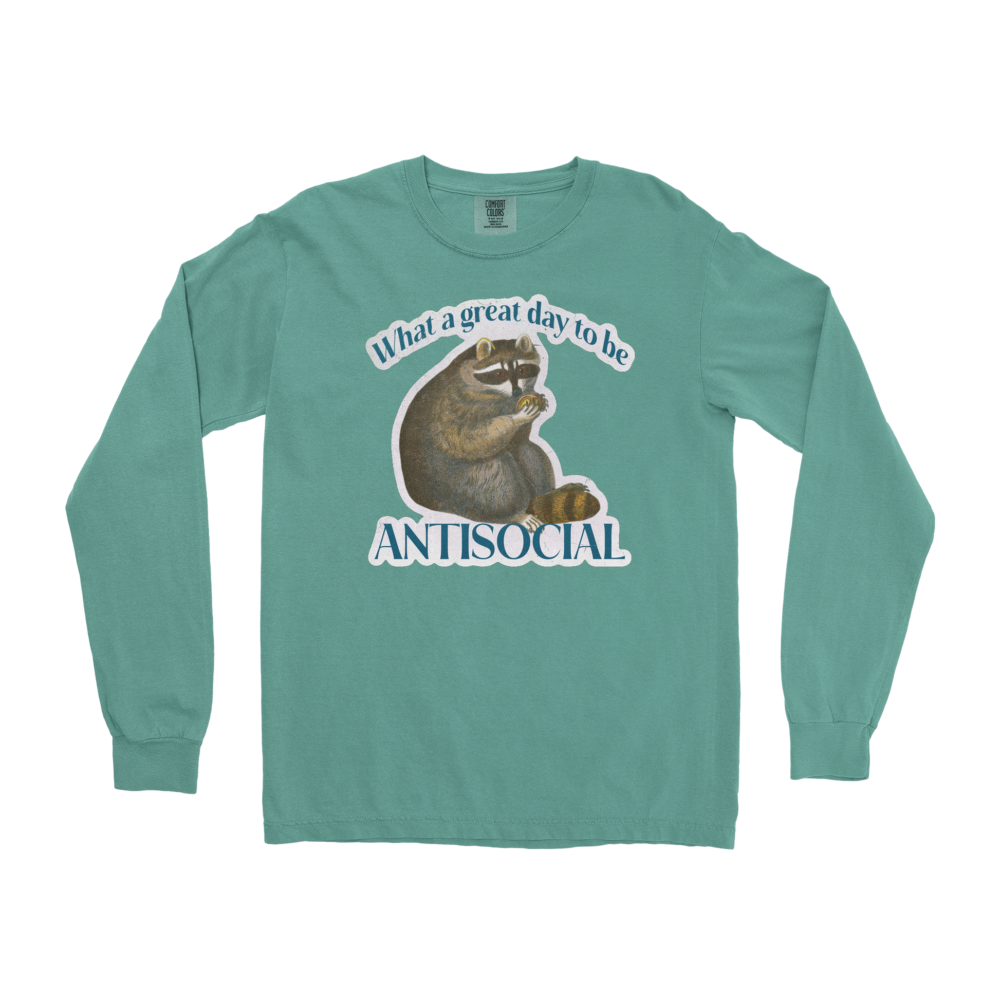 Comfort Colors Long Sleeve Antisocial in Light Green