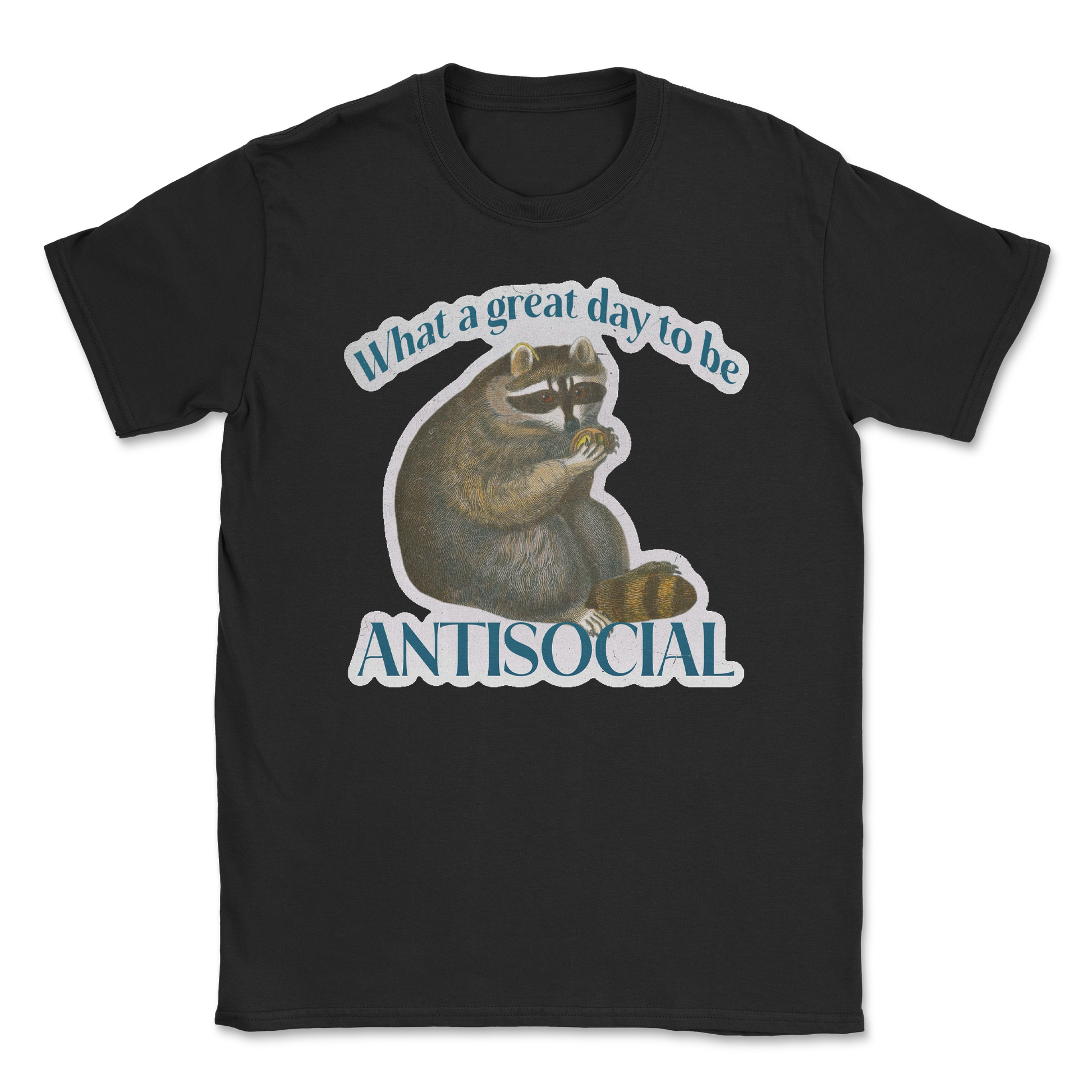 Heavy Blend T-Shirt Antisocial in Black