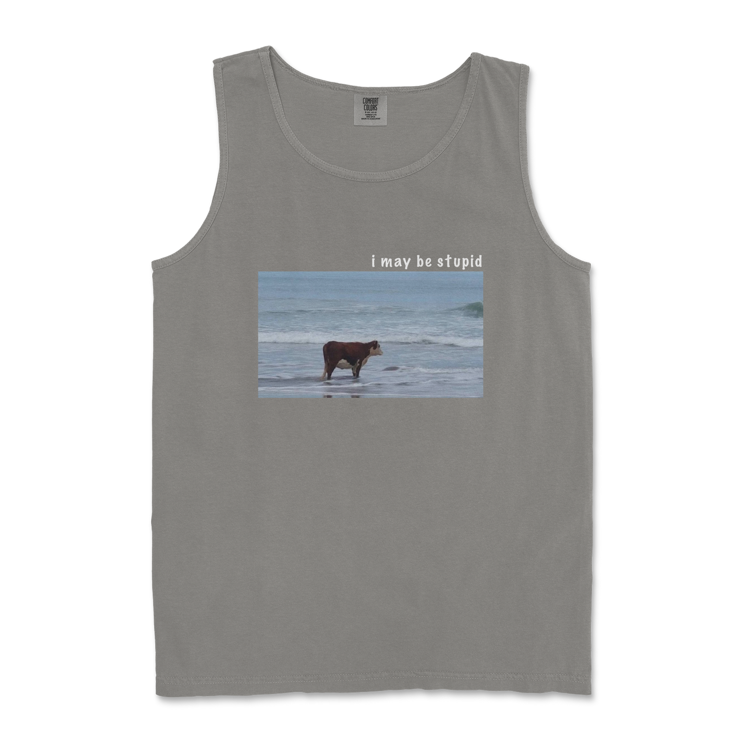 Comfort Colors Tank Top Stupid in Grey