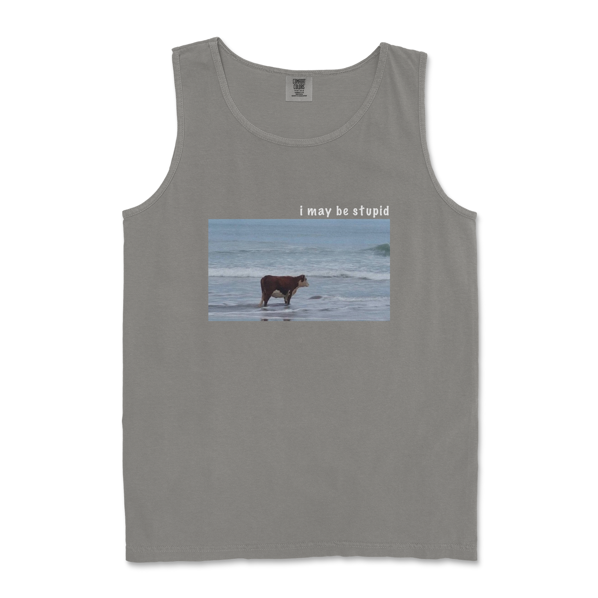 Comfort Colors Tank Top Stupid in Grey