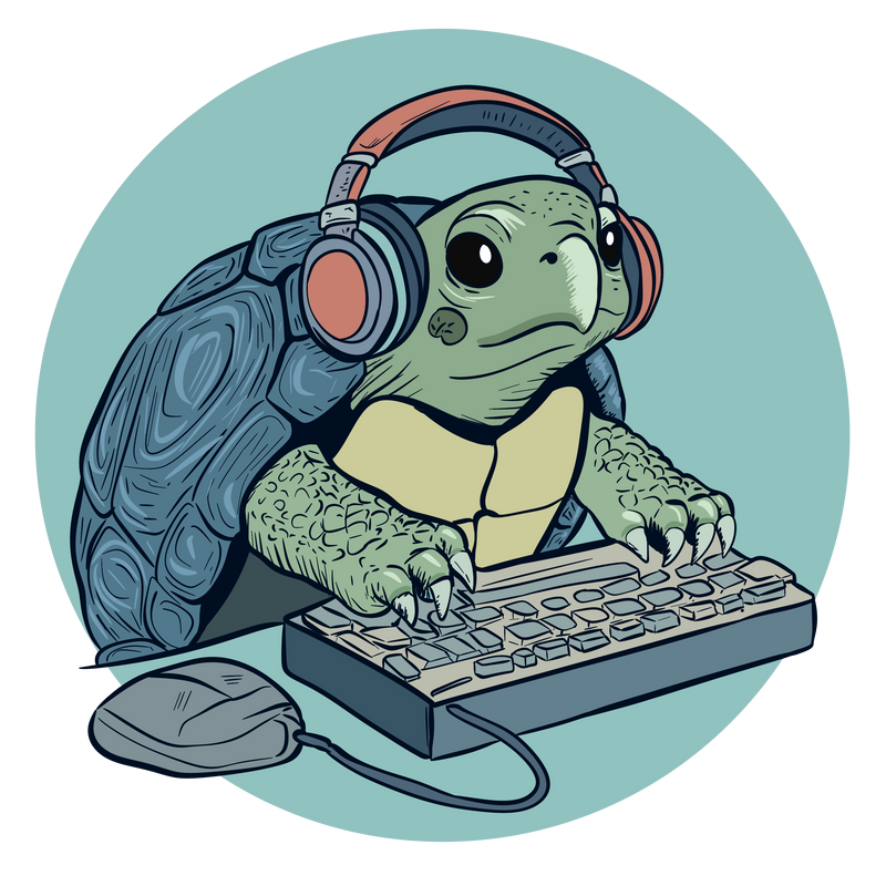 Gaming Turtle
