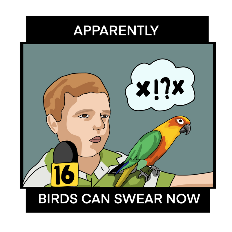 Birds Can Swear Now
