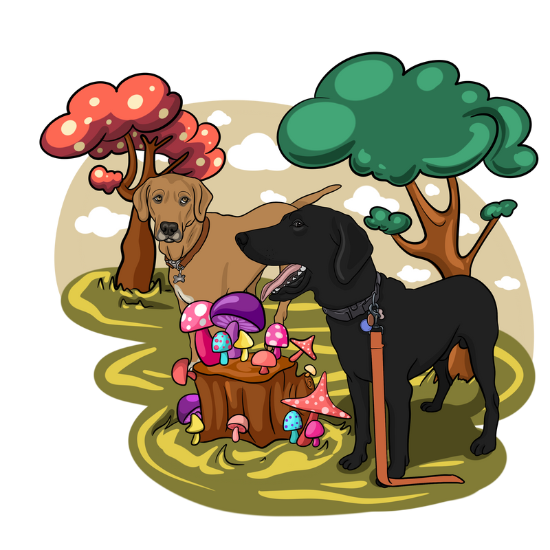 Mycologist Dogs