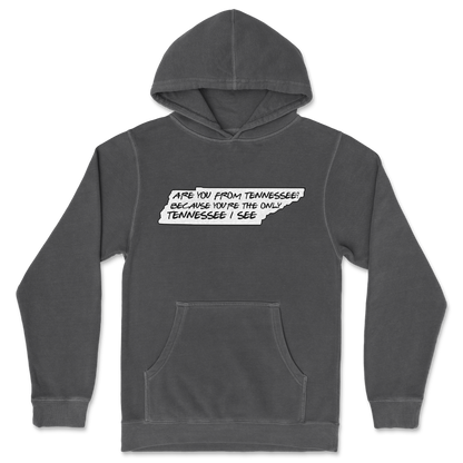 Independent Clothing Co. Hoodie Tennessee in Black