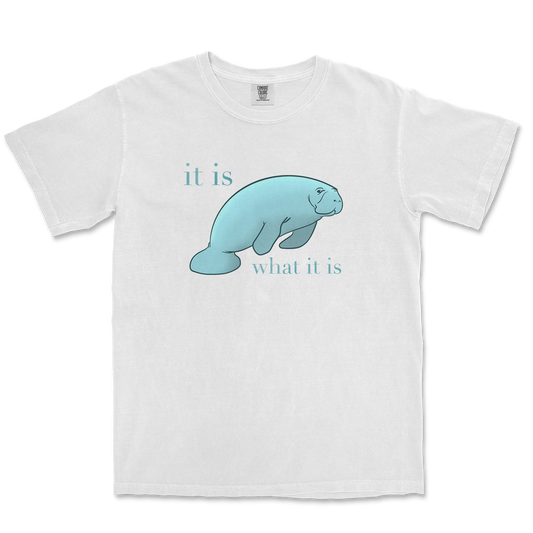 Comfort Colors T-Shirt Manatee in White