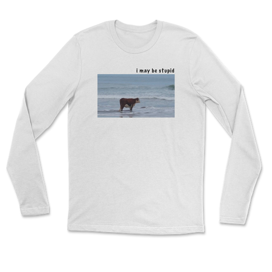 Heavy Blend Long Sleeve Stupid in White