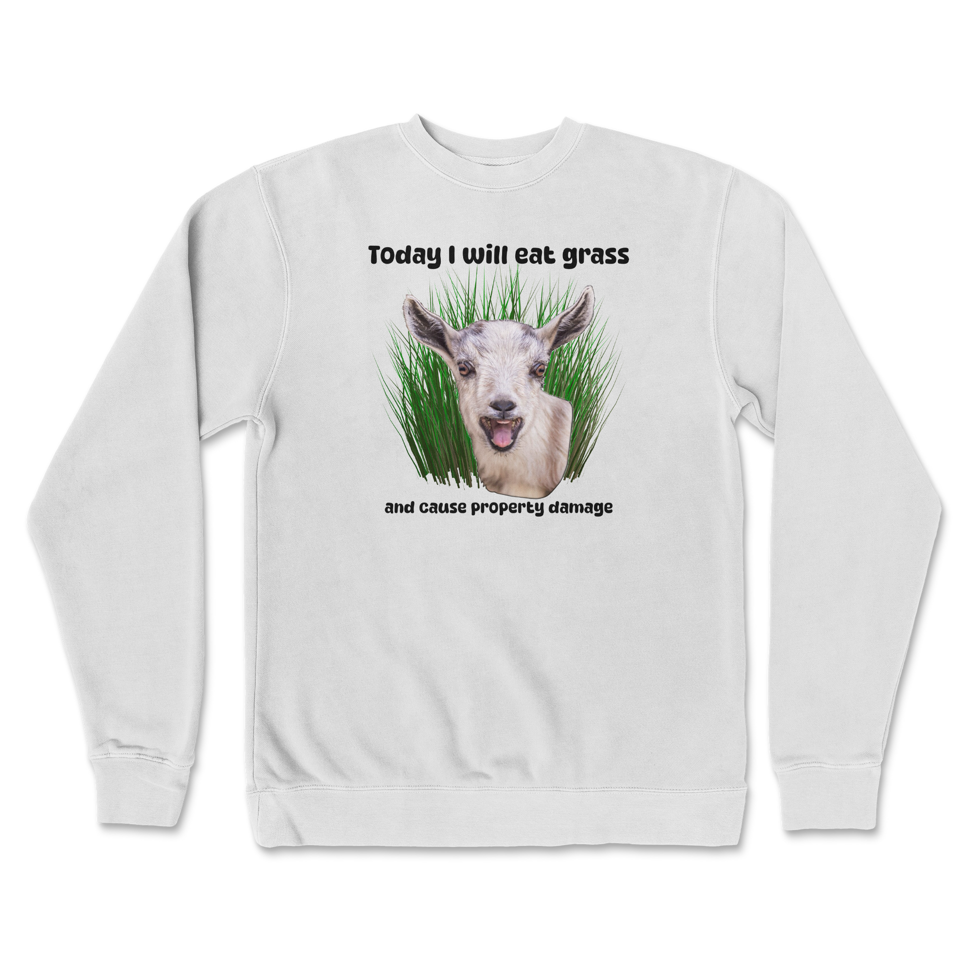 Independent Clothing Co. Crew Neck Crazy Goat  in white