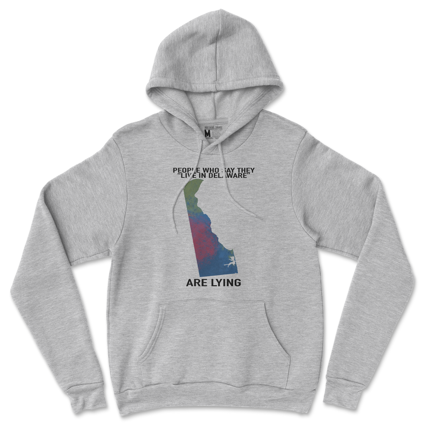 Gildan SoftStyle Hoodie Delaware Doesnt Exist in Sports Grey