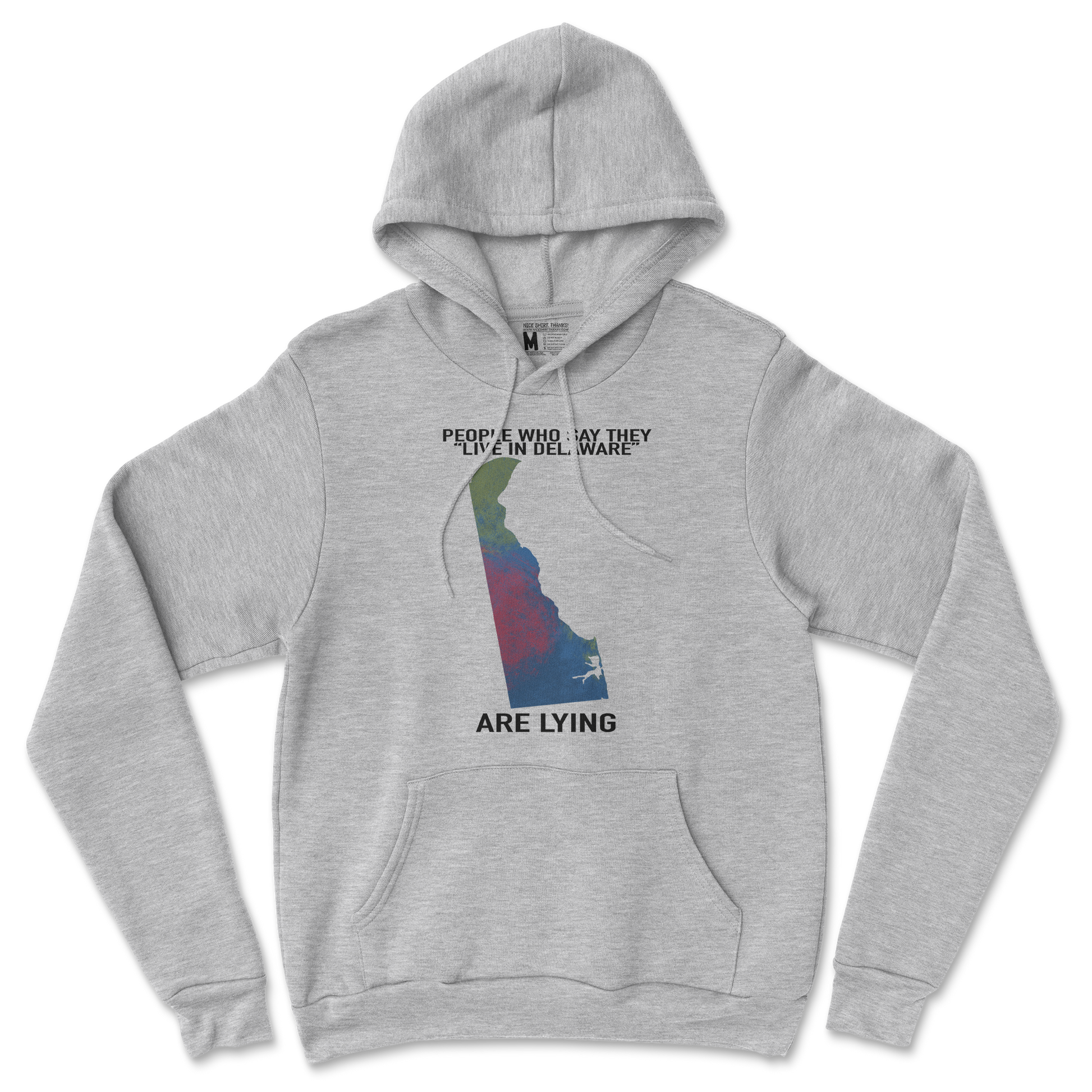 Gildan SoftStyle Hoodie Delaware Doesnt Exist in Sports Grey