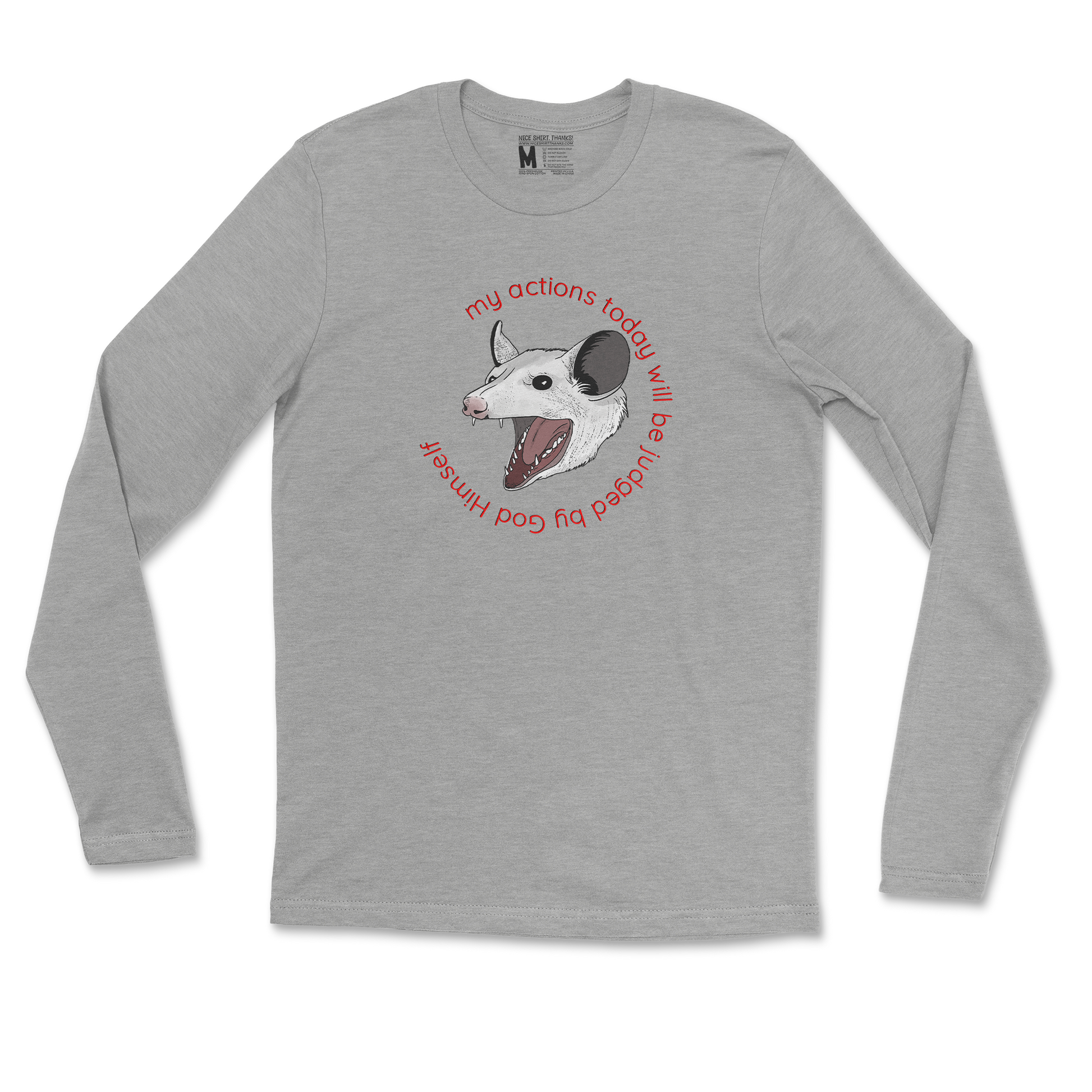 Gildan SoftStyle Long Sleeve in Sports Grey