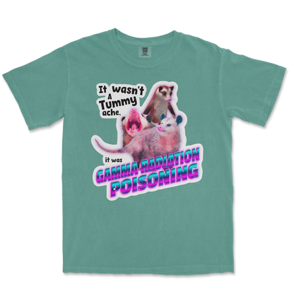 Comfort Colors T-Shirt Possum Radiation  in Light-Green