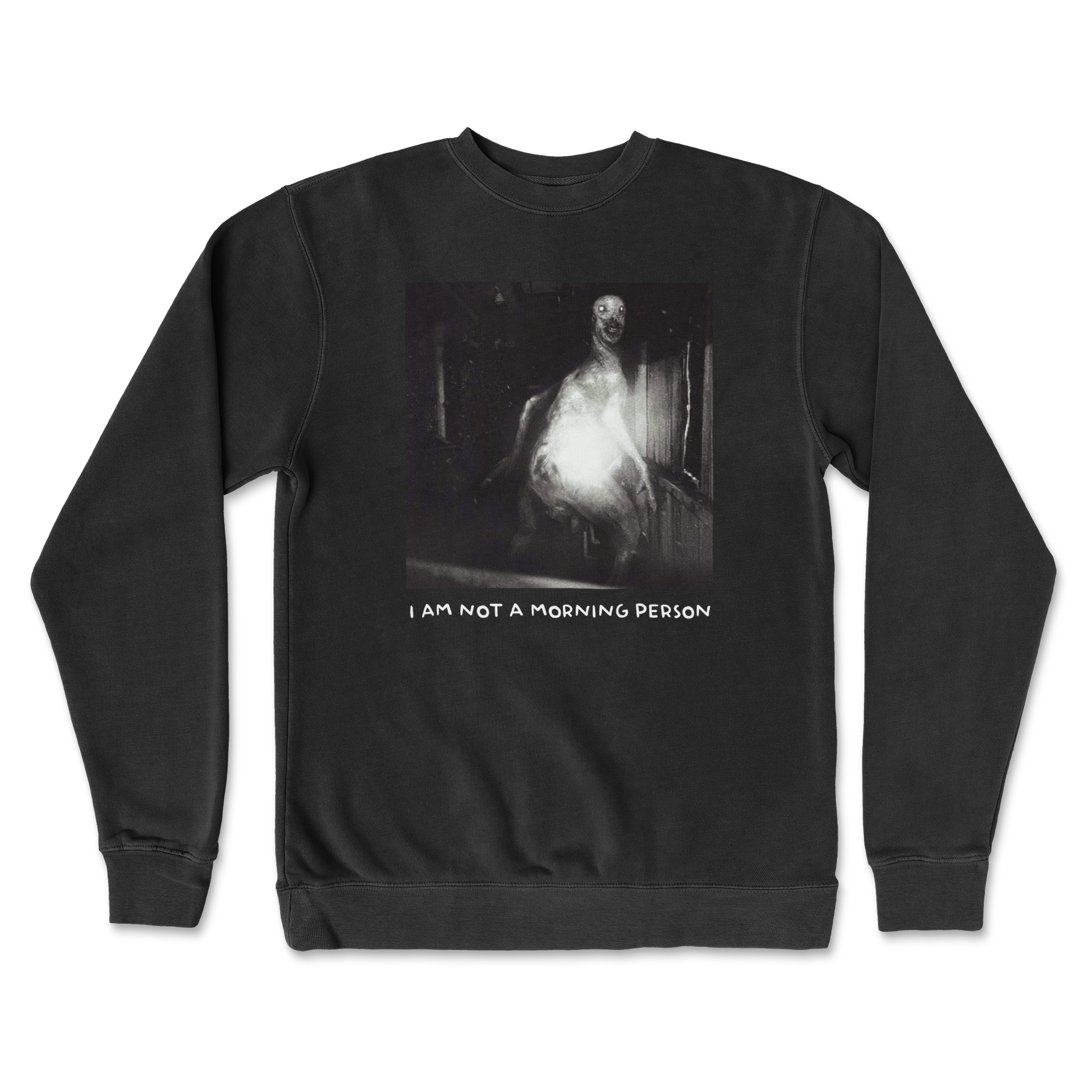 Independent Clothing Co. Crew Neck Not A Morning Person in Black