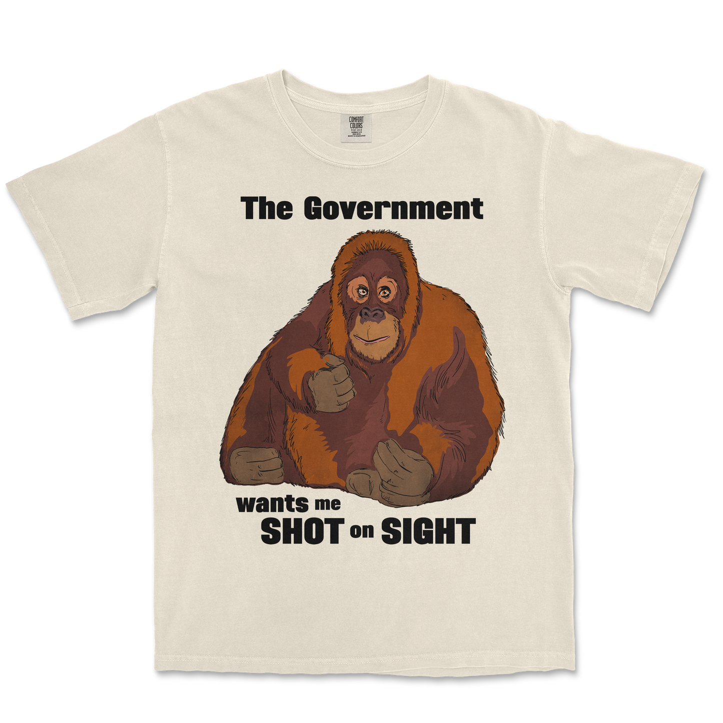 Comfort Colors T-Shirt The Government Hates Me  in Ivory