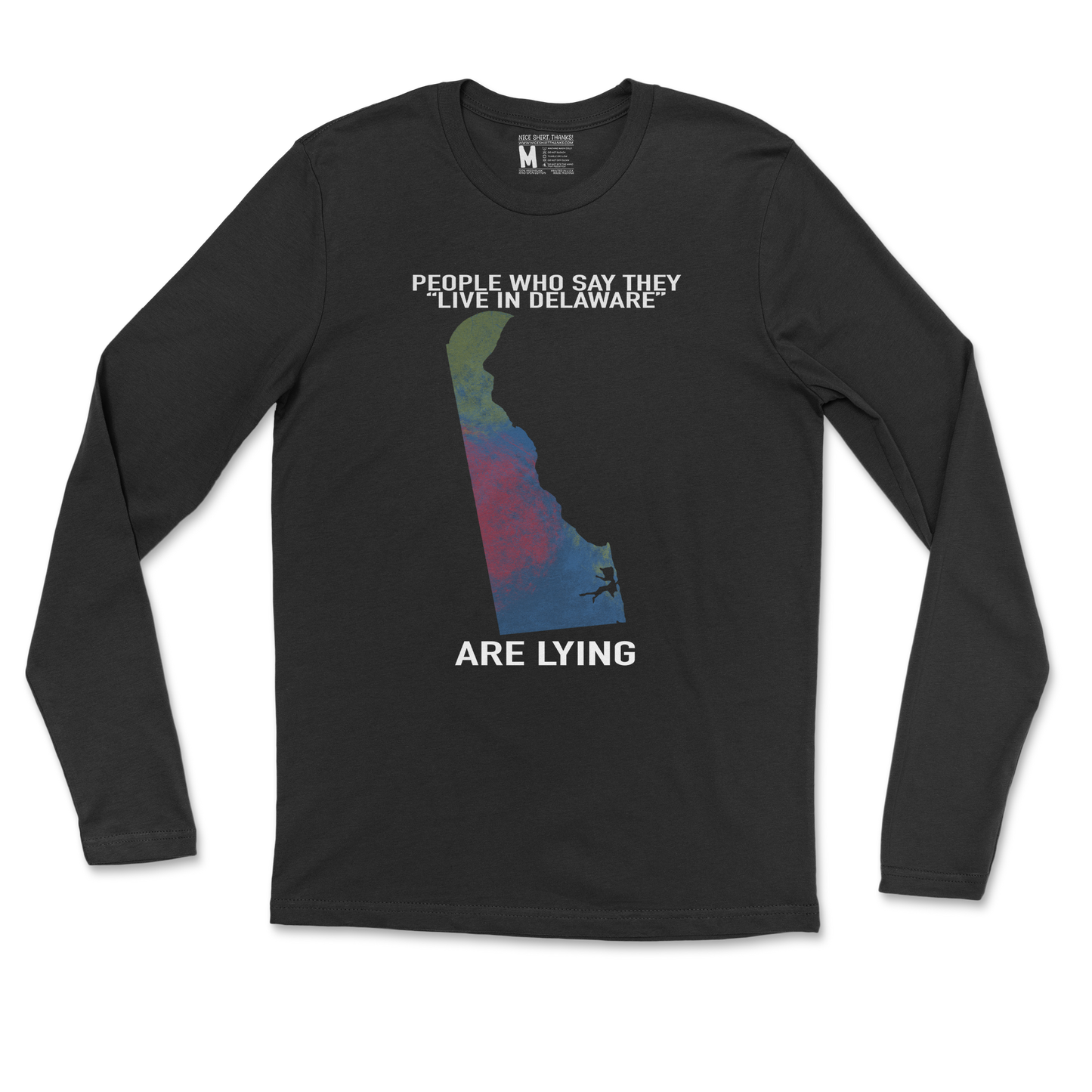 Gildan SoftStyle Long Sleeve Delaware Doesnt Exist in Black