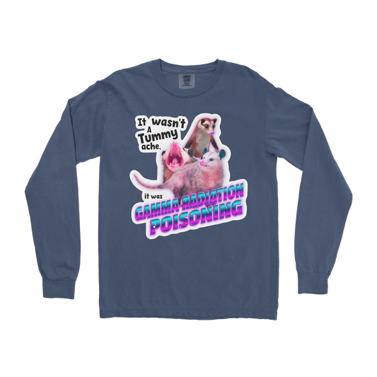 Comfort Colors Long Sleeve Possum Radiation  in Midnight