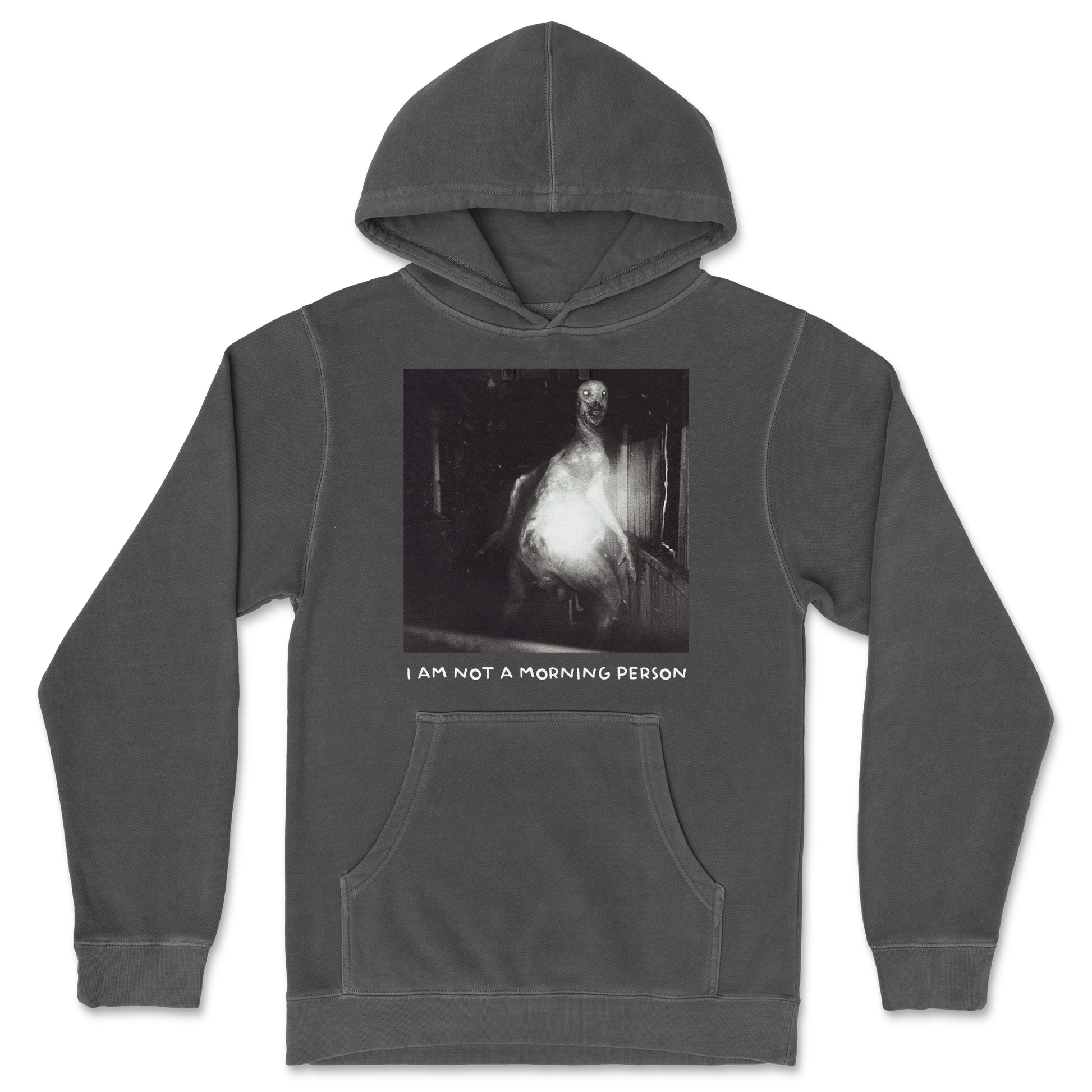 Independent Clothing Co. Hoodie Not A Morning Person in Black