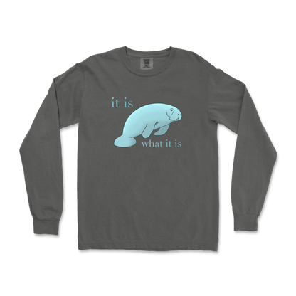 Comfort Colors Long Sleeve Manatee in Pepper