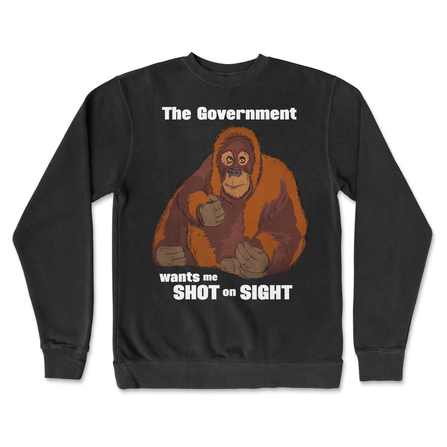 Independent Clothing Co. Crew Neck The Government Hates Me  in Black