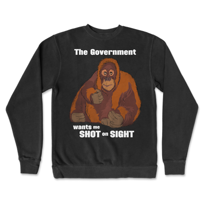 Independent Clothing Co. Crew Neck The Government Hates Me  in Black