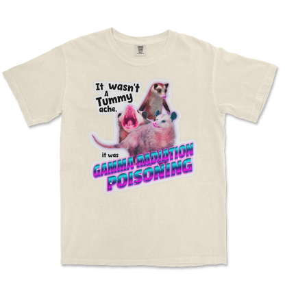 Comfort Colors T-Shirt Possum Radiation  in Ivory