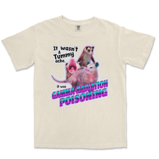 Comfort Colors T-Shirt Possum Radiation  in Ivory
