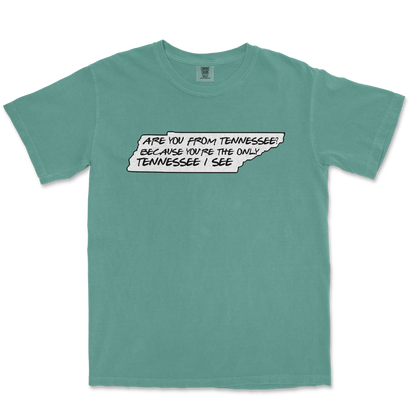 Comfort Colors T-Shirt Tennessee in LightGreen