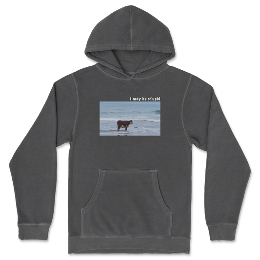 Independent Clothing Co. Hoodie Stupid in Black