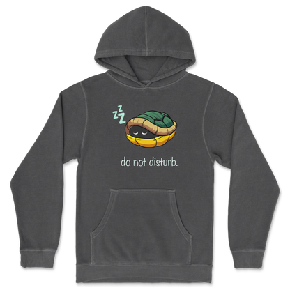 Independent Clothing Co. Hoodie Sleepin Turtle in Black