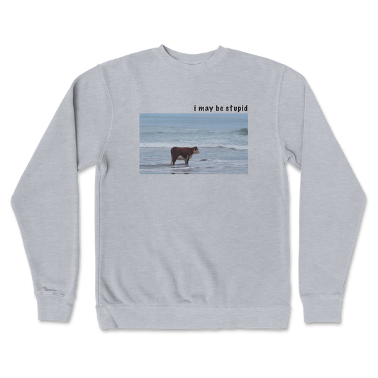 Independent Clothing Co. Crew Neck Stupid in Grey Heather