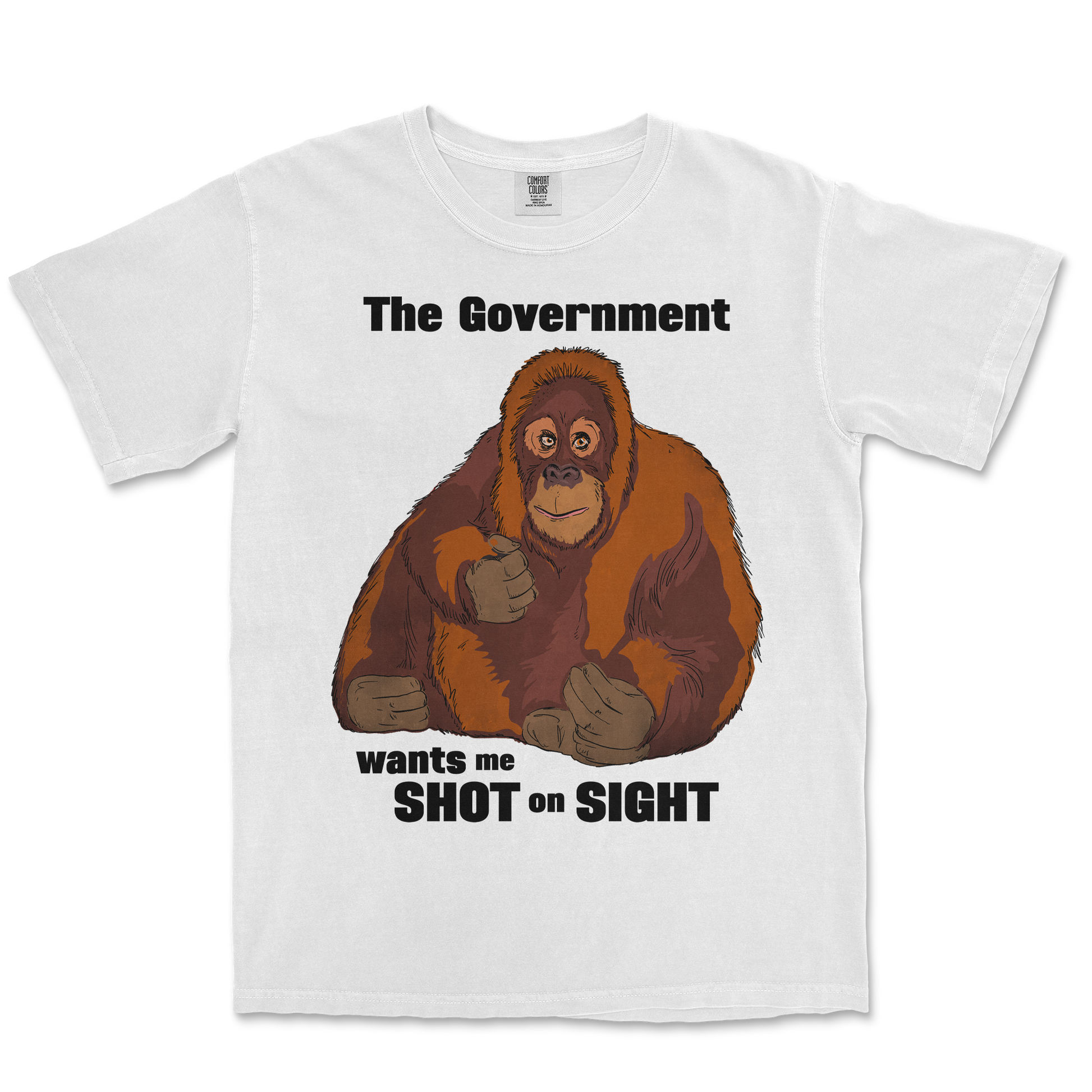 Comfort Colors T-Shirt The Government Hates Me  in White