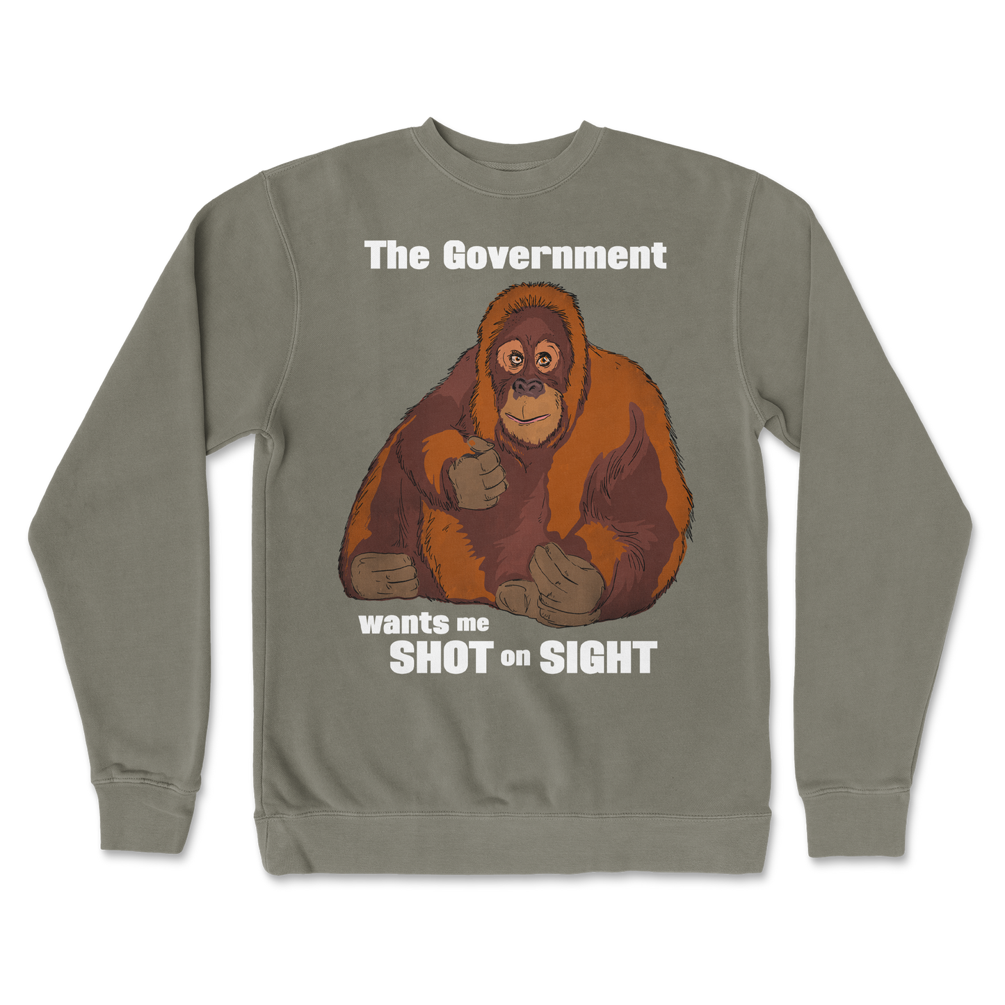 Independent Clothing Co. Crew Neck The Government Hates Me  in Army