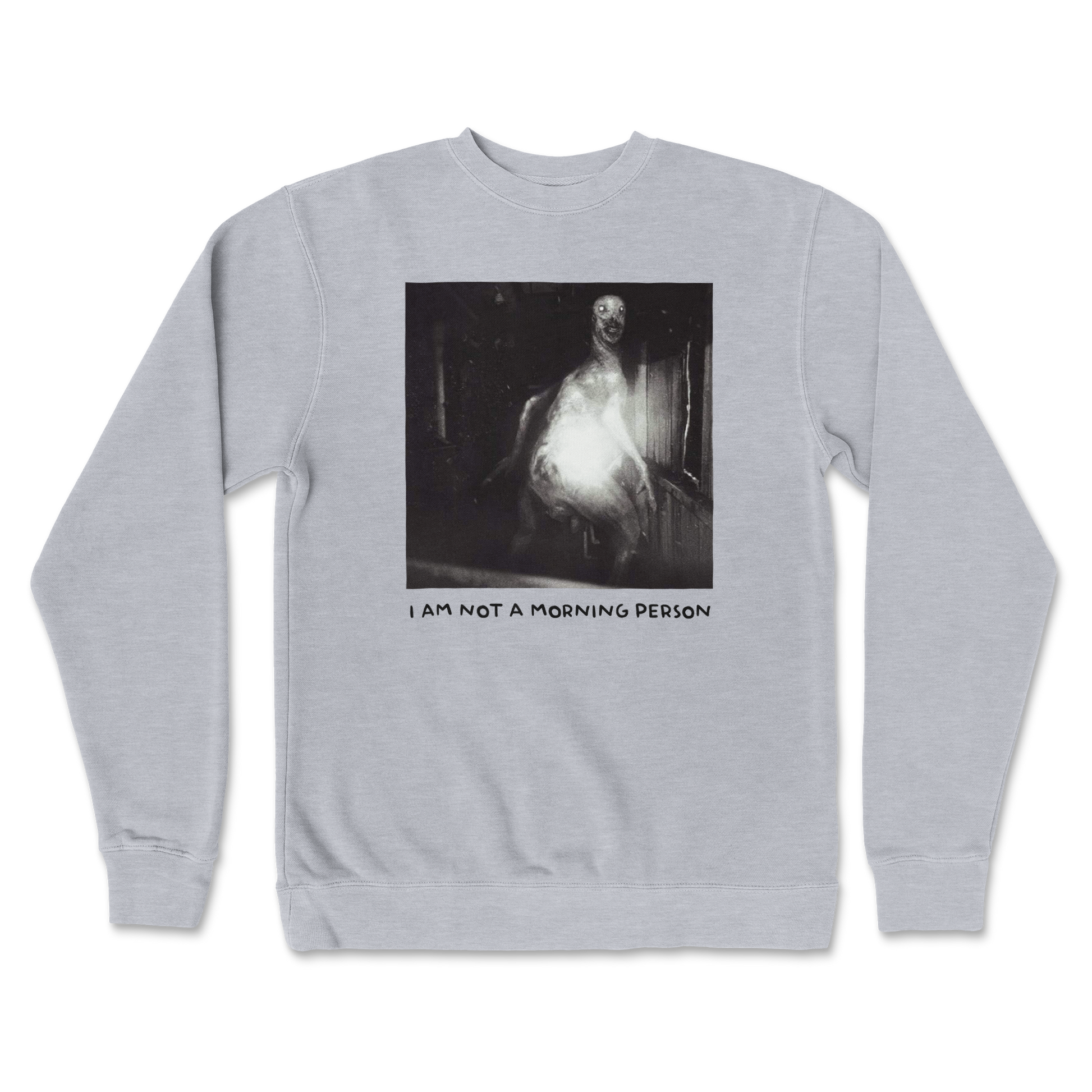 Independent Clothing Co. Crew Neck Not A Morning Person in GreyHeather