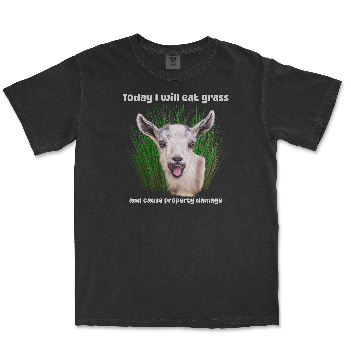 Comfort Colors T-Shirt Crazy Goat  in Black