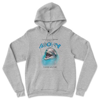 Gildan SoftStyle Hoodie Agony Dolphin in Sports Grey