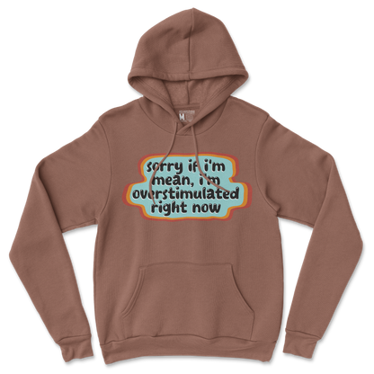 Gildan SoftStyle Hoodie in Cocoa